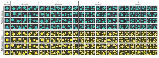 bees-and-math-testing-stimuli-620.jpg 