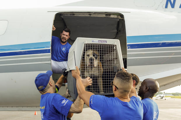 Tropical Storm Barry Transport Arrival 