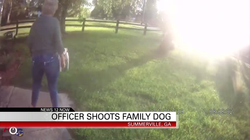 A Summerville police officer shot an aggressive dog