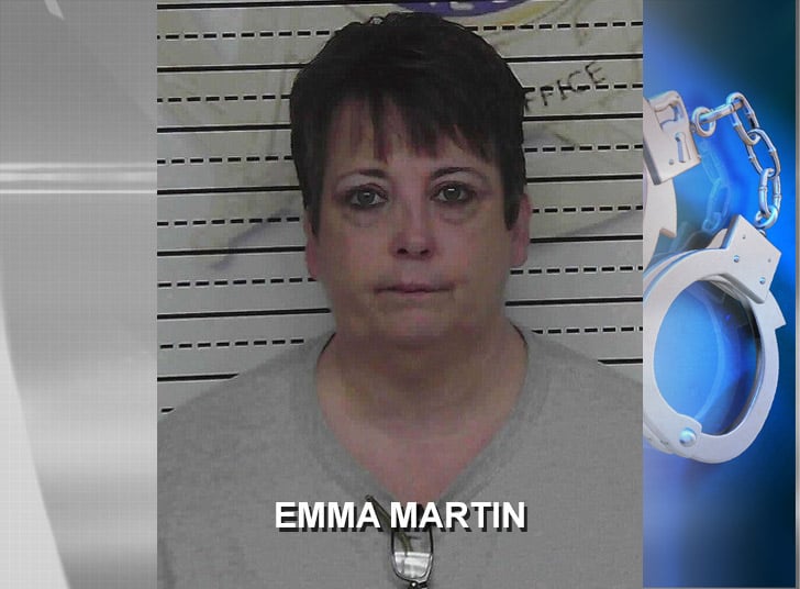 McMinn County TennCare/ selling precriptions bust