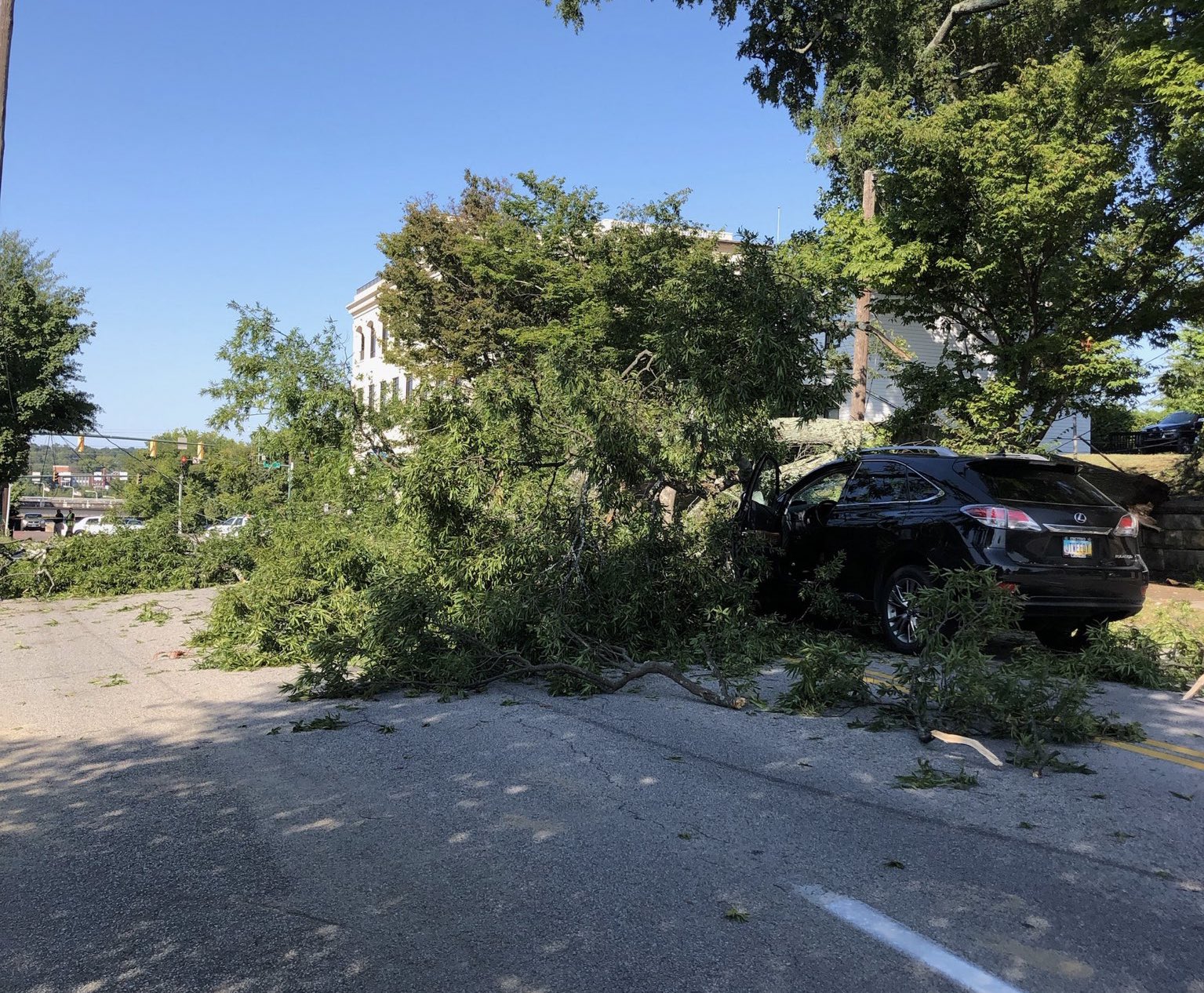 Tree falls down on power lines on Georgia Avenue - WDEF