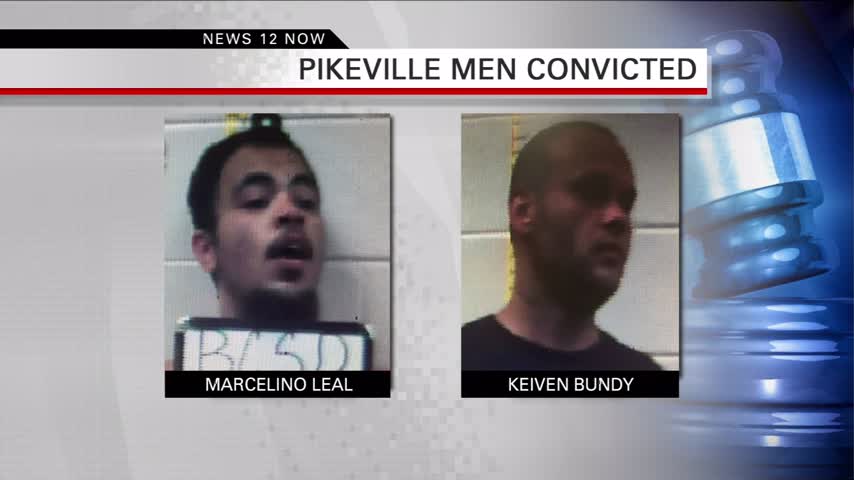 Bledsoe County murder guilty pleas