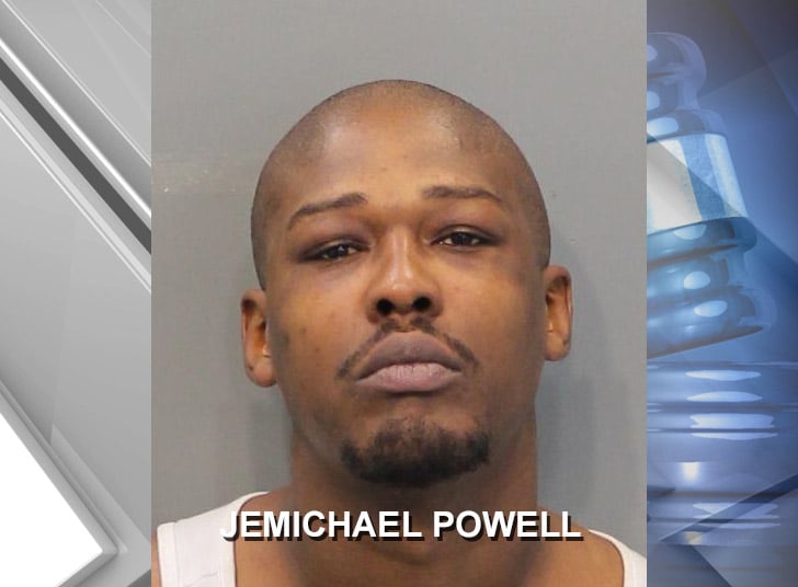 pleads guilty to shooting pregnant teen