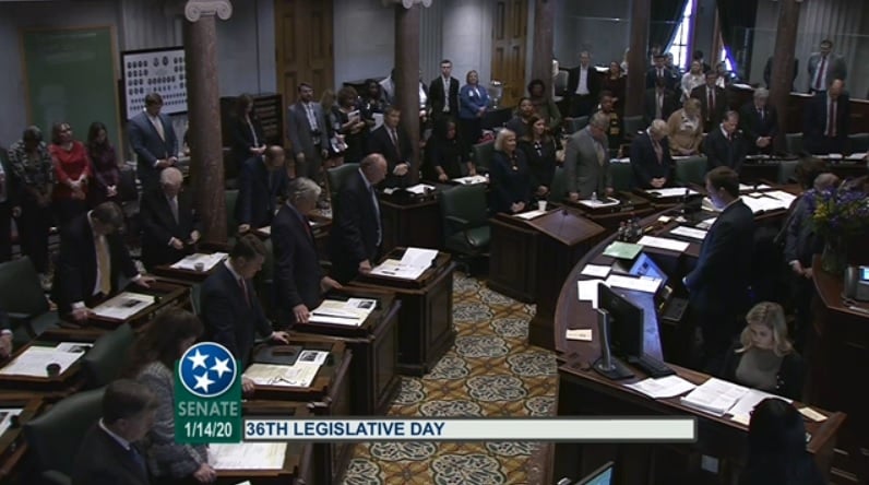 senate feed