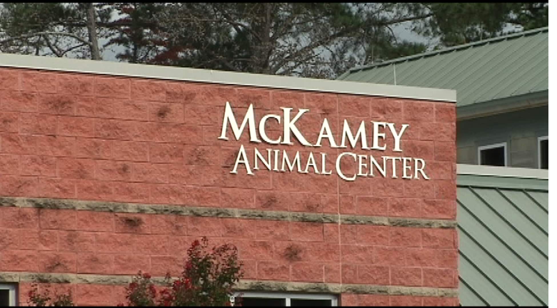 mckamey animal shelter chattanooga tn