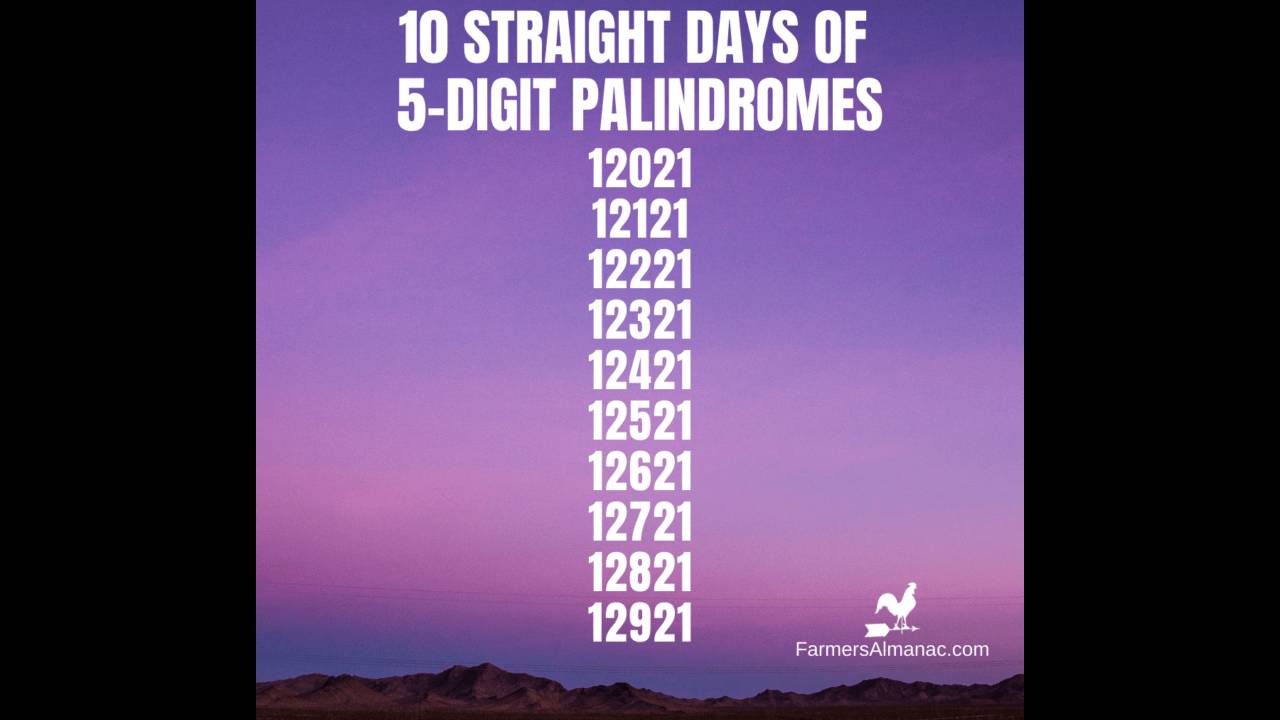 Ten Straight Palindrome Dates WDEF