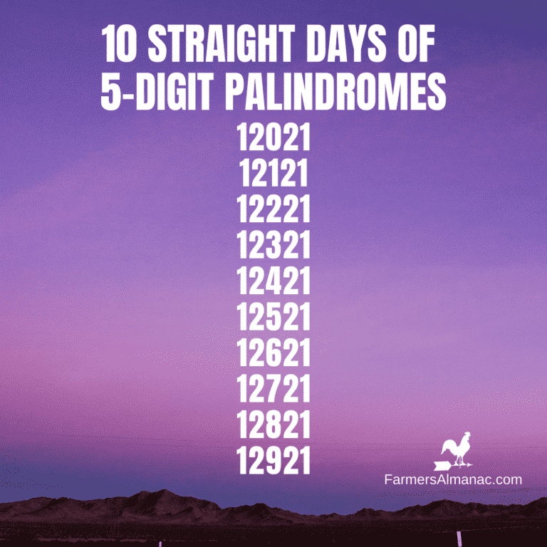 Ten Straight Palindrome Dates WDEF