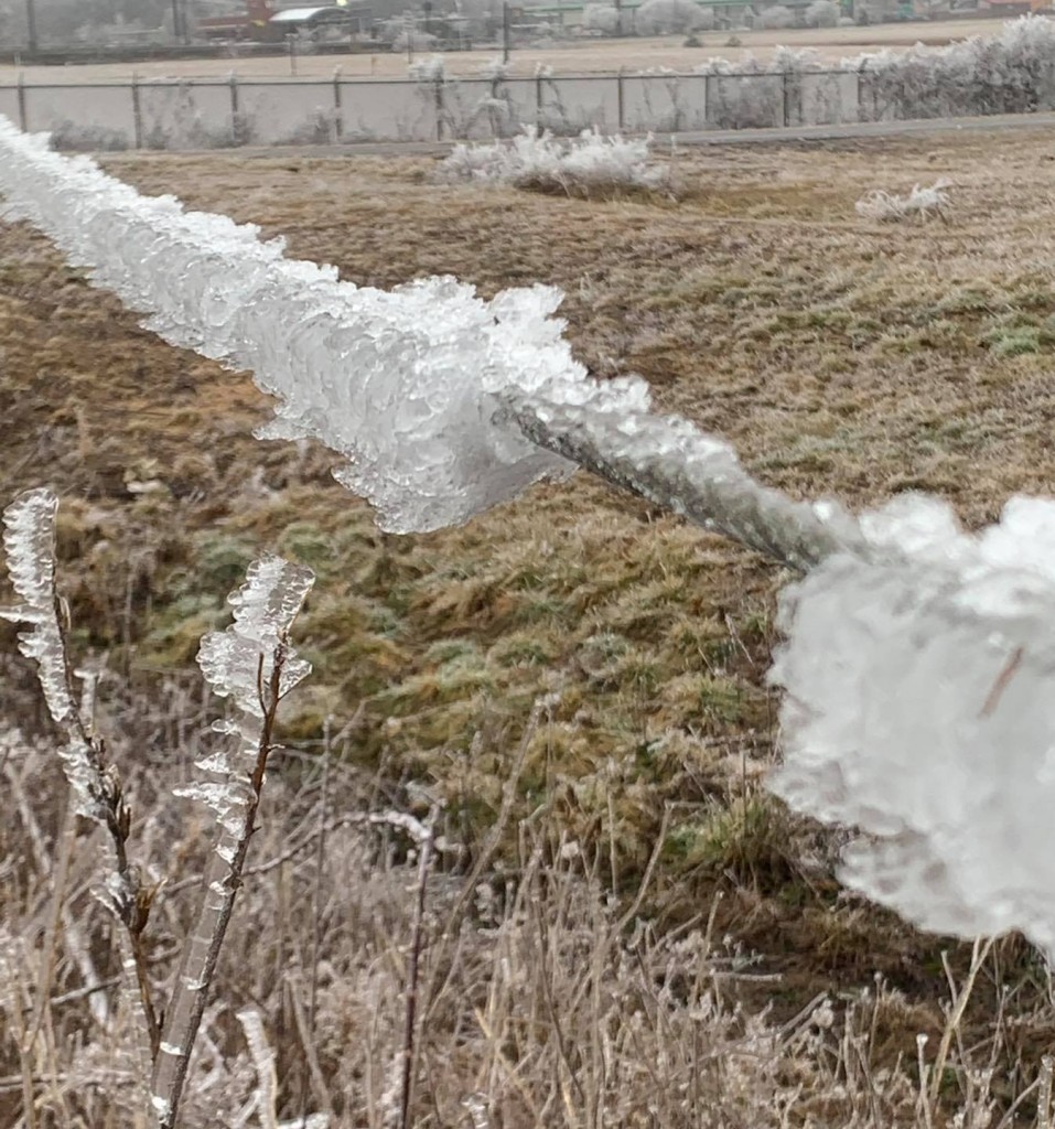 Seqauchee Valley Electric FB page. Ice froze over on power lines.