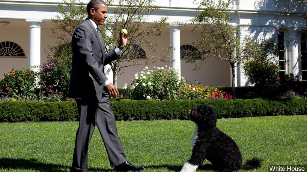 White House