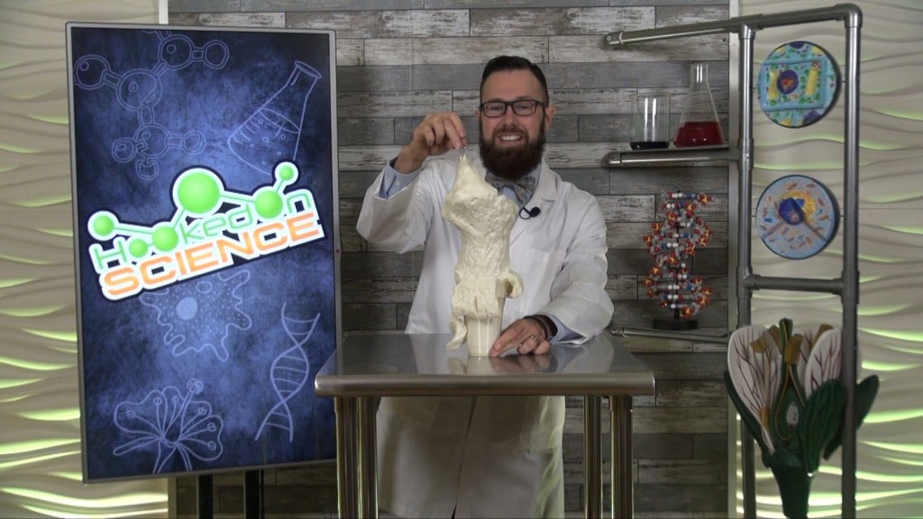 Hooked On Science Foam Monster