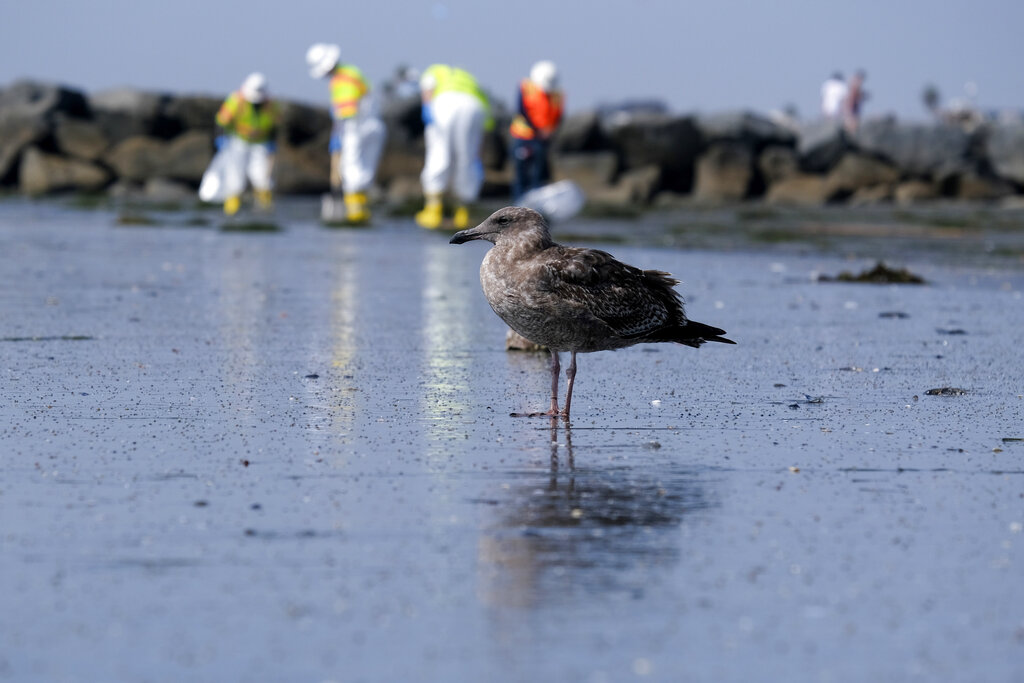California Oil Spill Environment