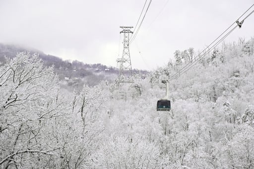 Skiing