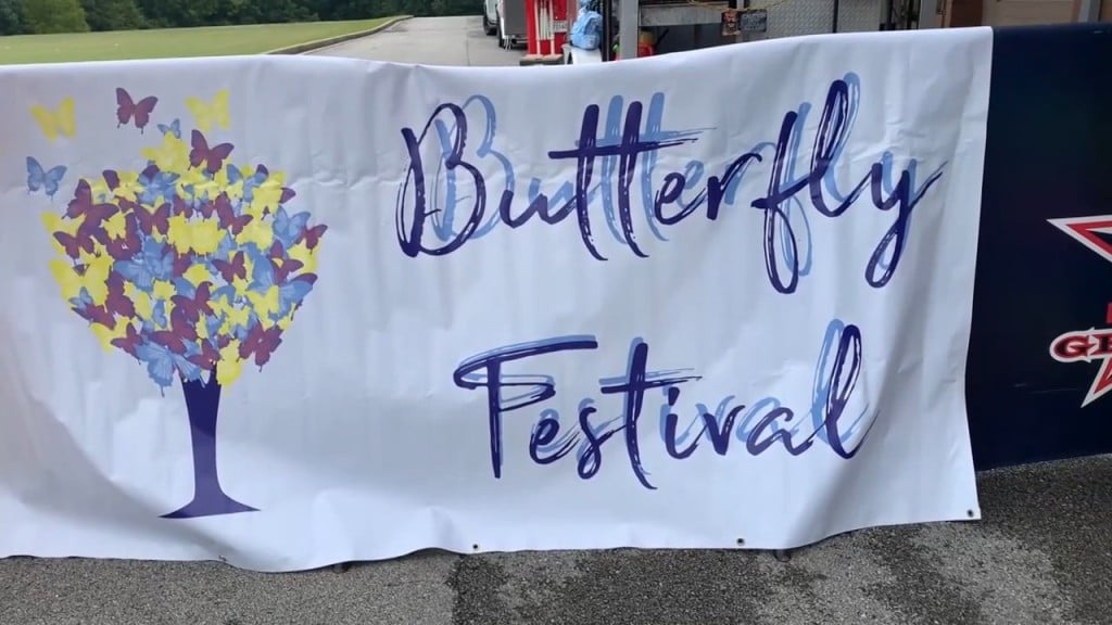 5th Annual Butterfly Festival To Remember Katie Beth Carter