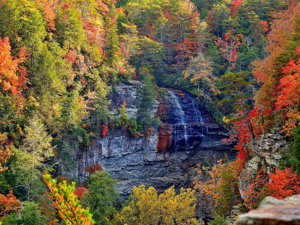 Fall Creek Falls Colors