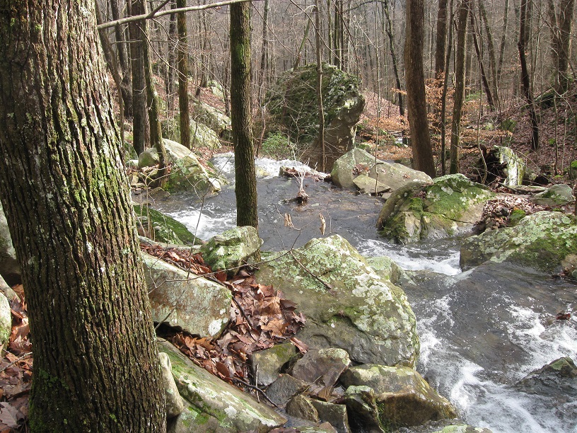 620 acres added to land conservation on the Southern Cumberland Plateau
