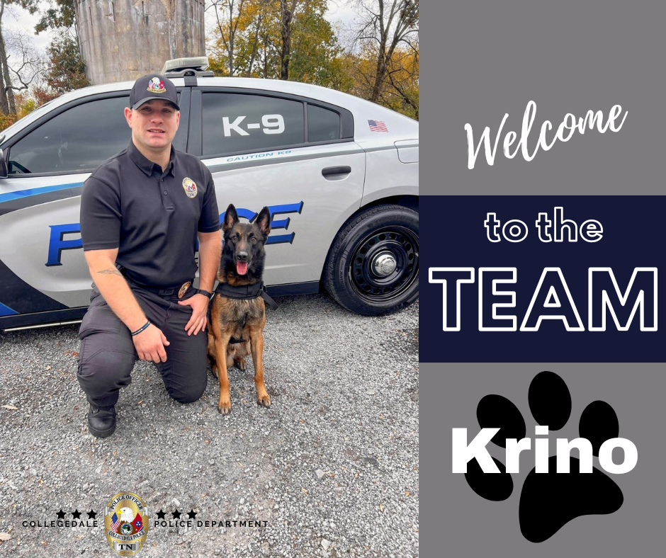 Krino Joins The Team