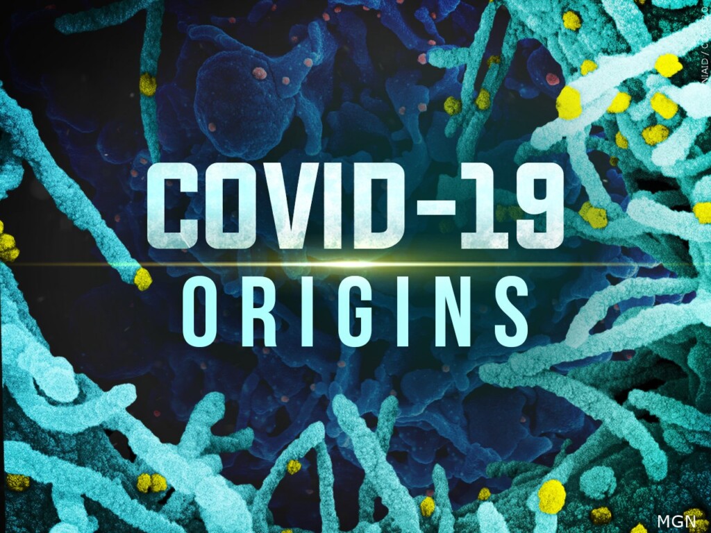 COVID ORIGINS