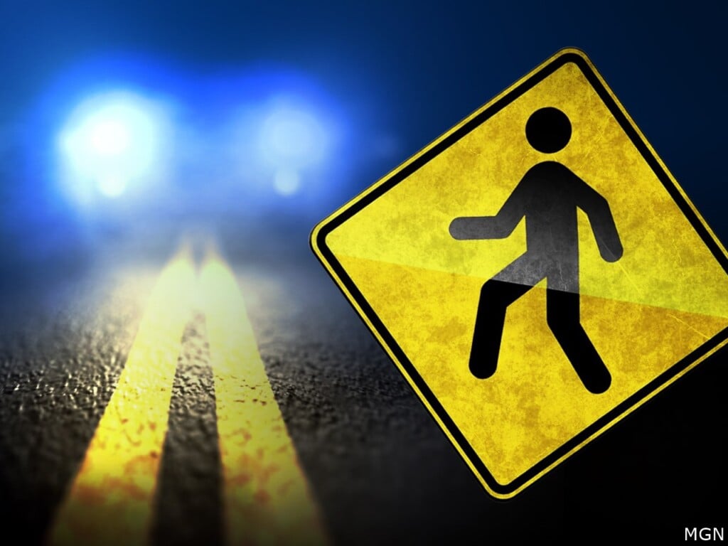 Pedestrian Hit