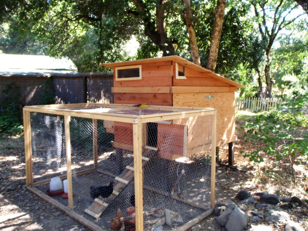 chicken coop
