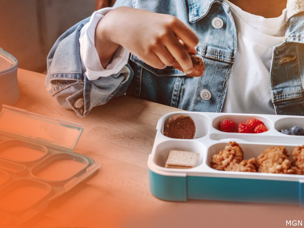 school lunch