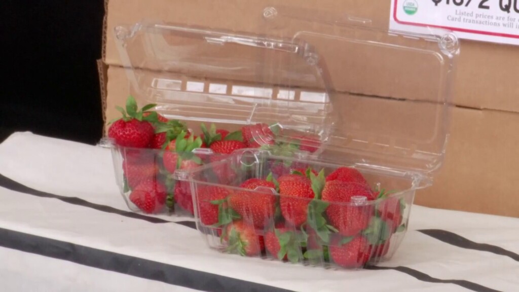 Strawberries 004