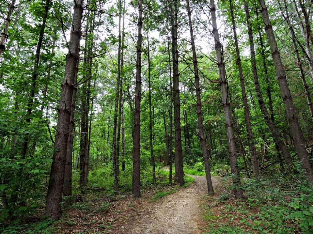 Enterprise South Nature Park