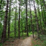 Enterprise South Nature Park