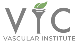 Vascular Institute Logo