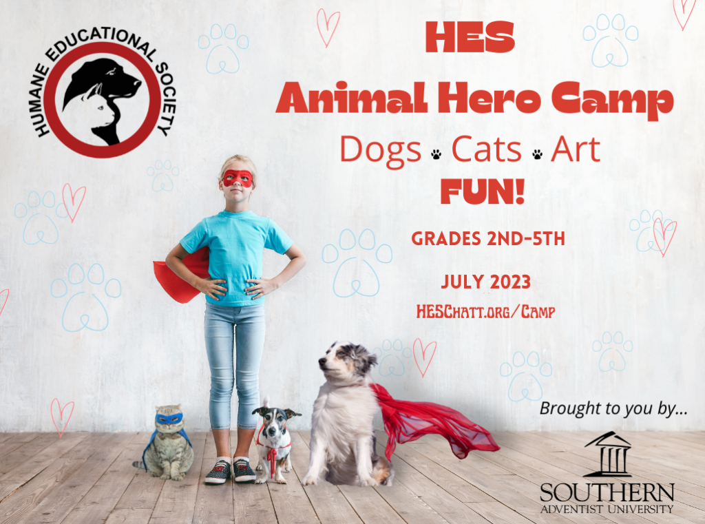 Hes Animal Hero Camp Flier
