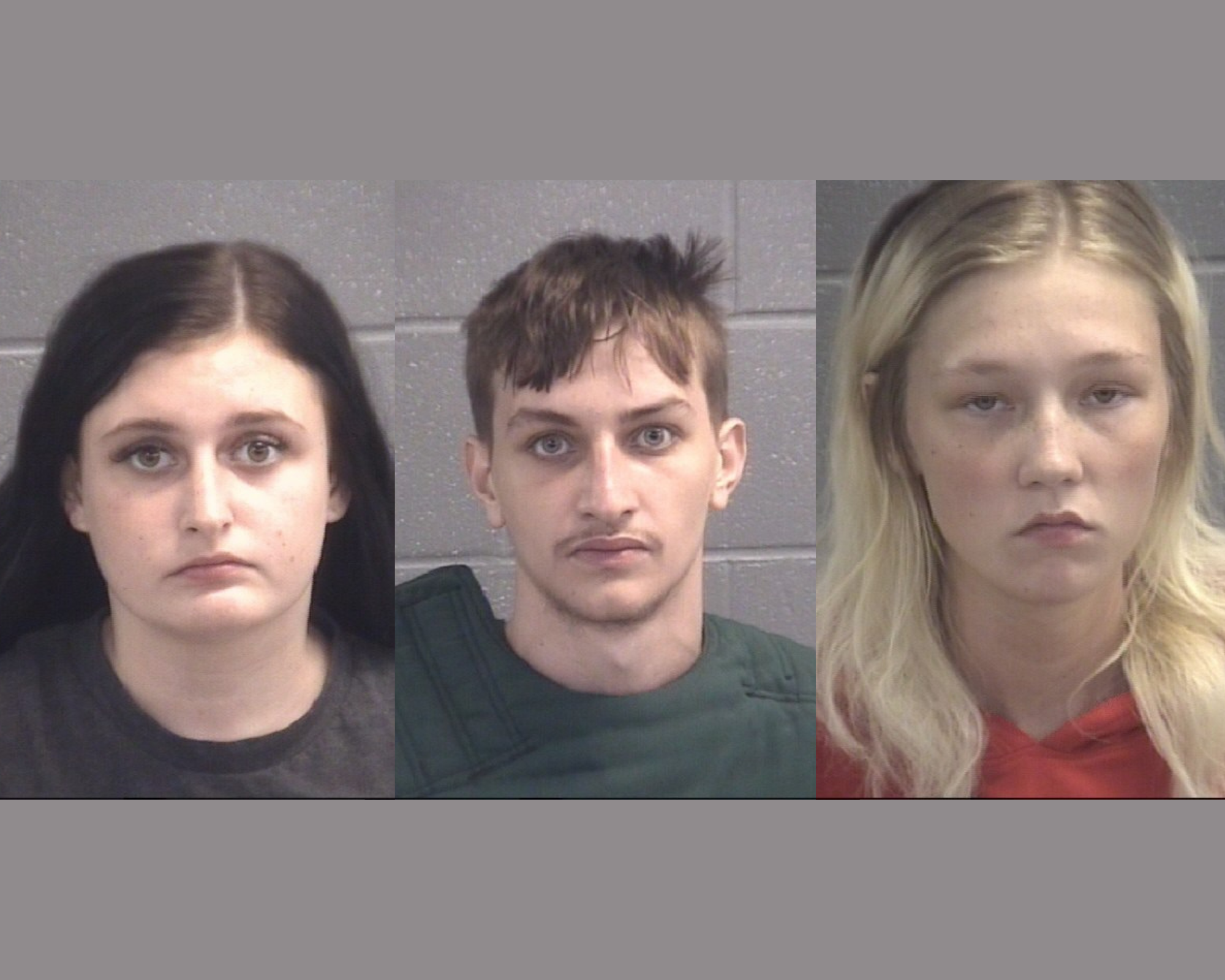 Vandals killed man who confronted them about throwing eggs at his home, Georgia sheriff says - Vimarsana News