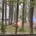 Campsite where tree fell