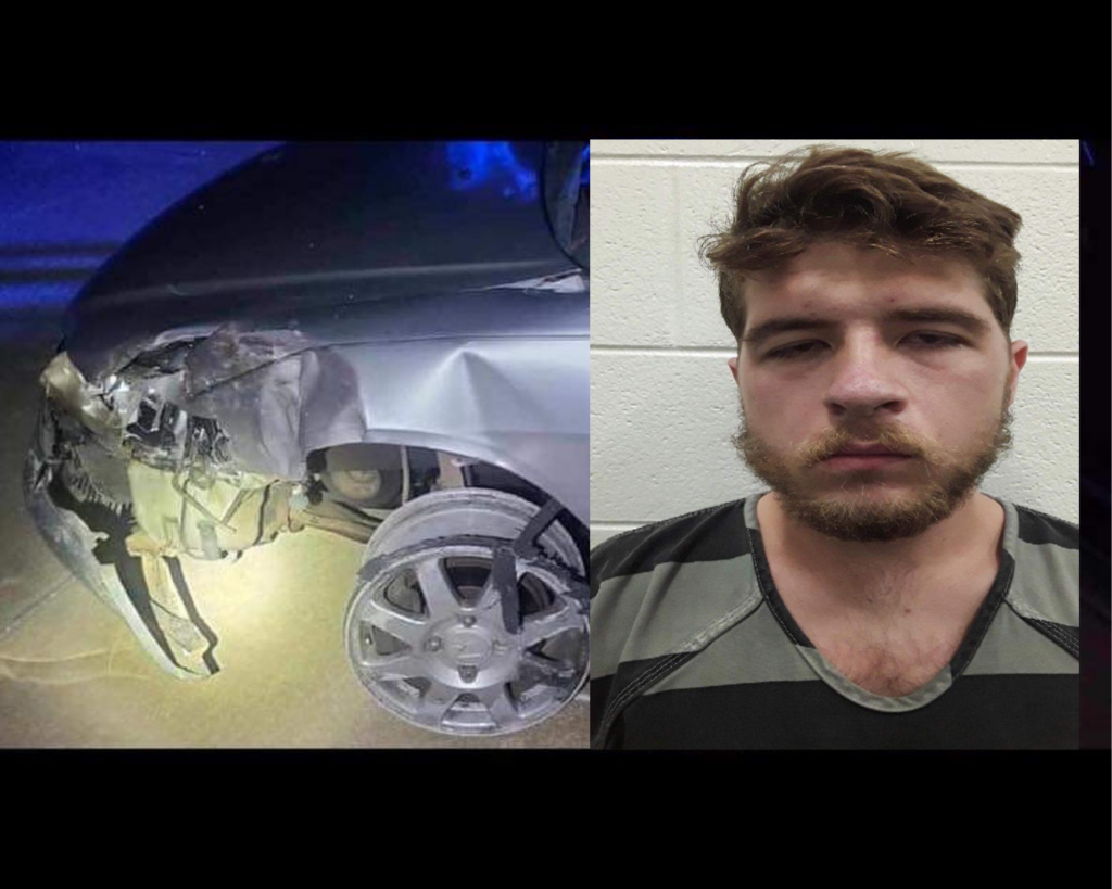 Patterson Arrest Collage