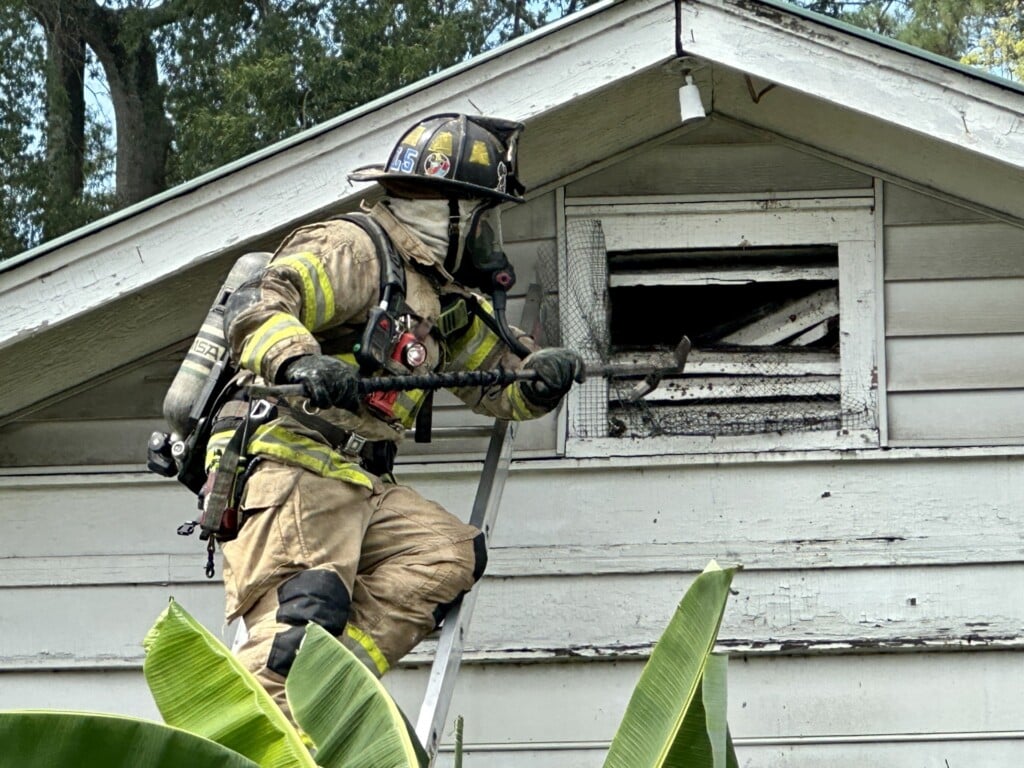 Cfd3