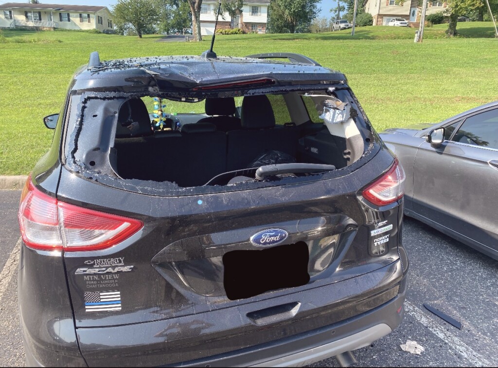 Vehicle Damage