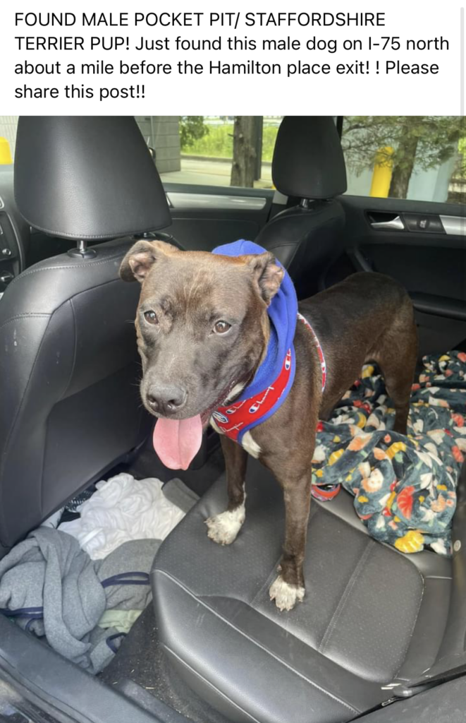 Founddog 090723