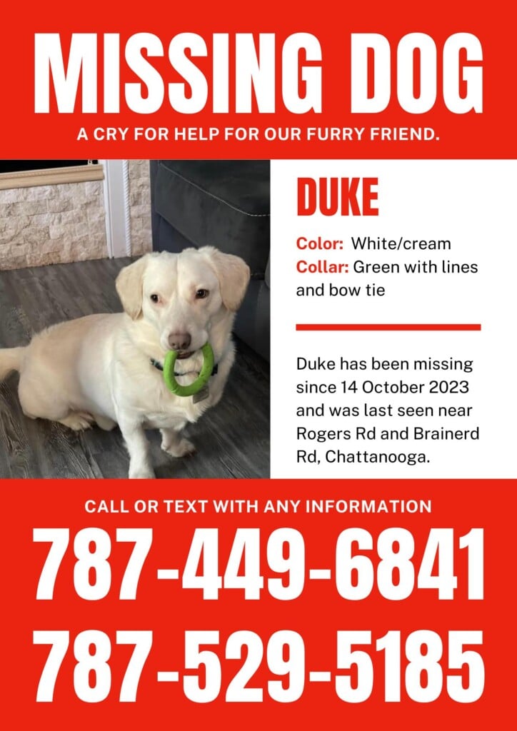 Missingdog 101623