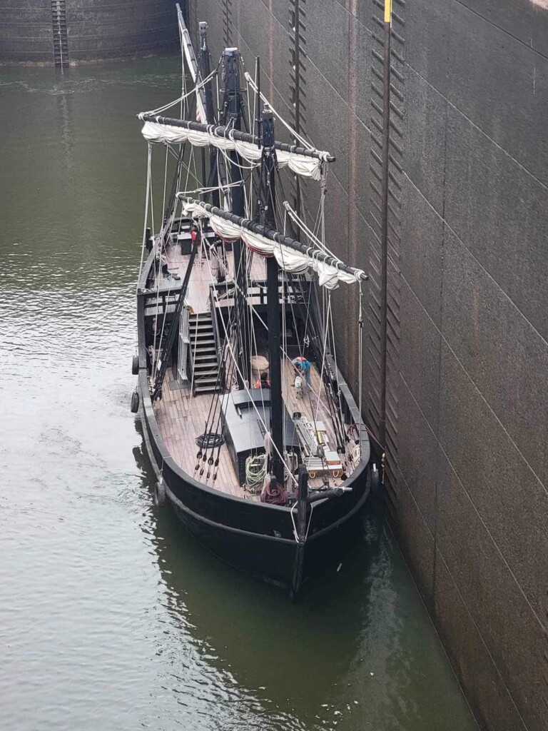 Pinta 6