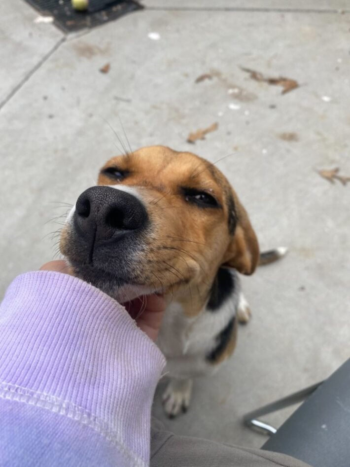 HES