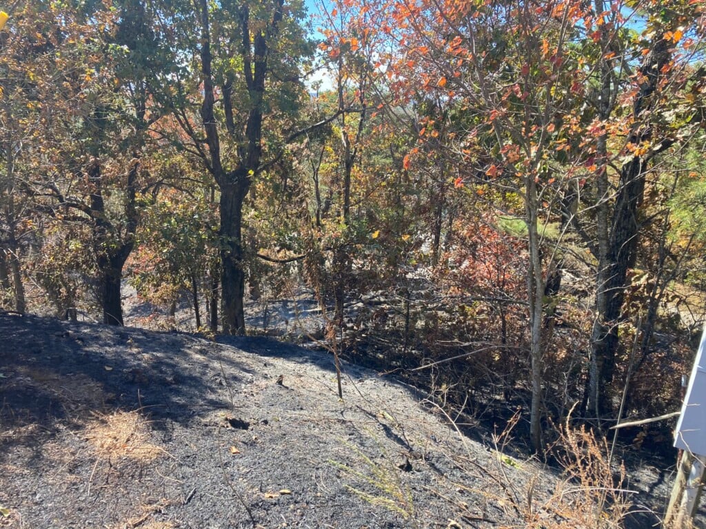 Walker Govt Photo Of Fire