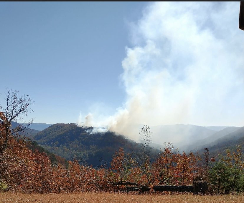 Georgia wildfires