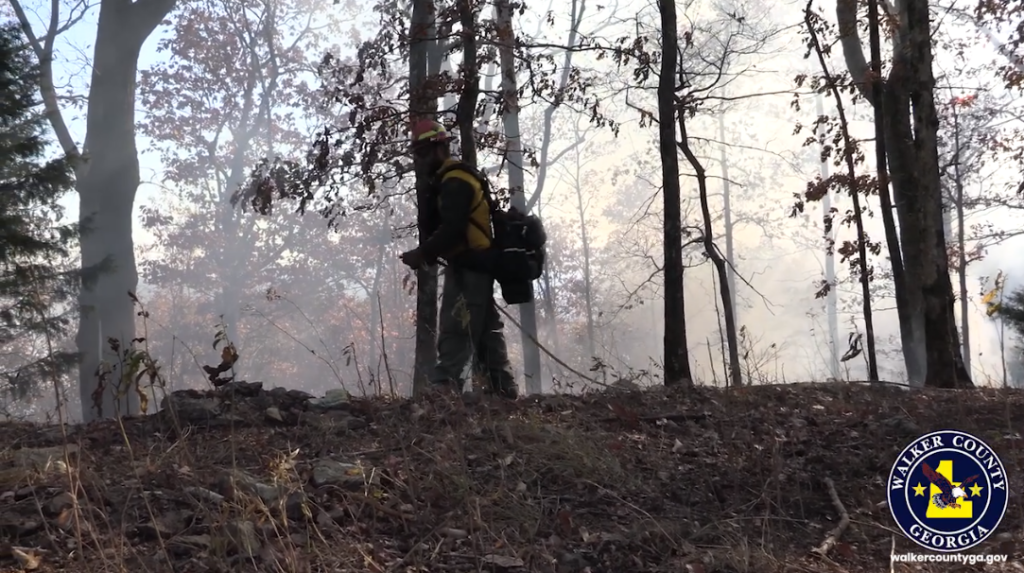 Forestry