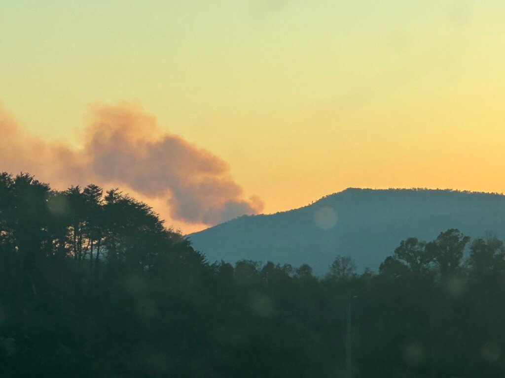 Etowah Fire