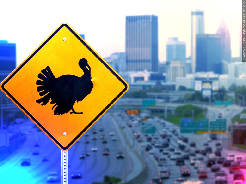 Thanksgiving Traffic Picture