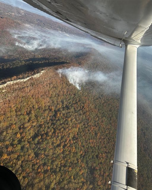 Lookout Mtn Arson