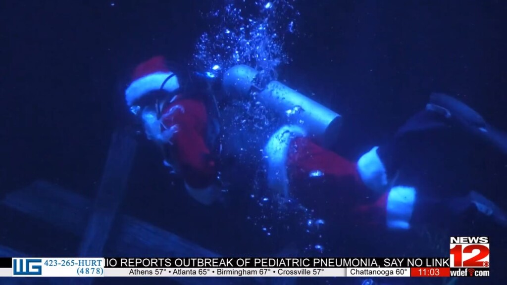 'scuba Claus' Swims In Tennessee Aquarium During Holiday Season
