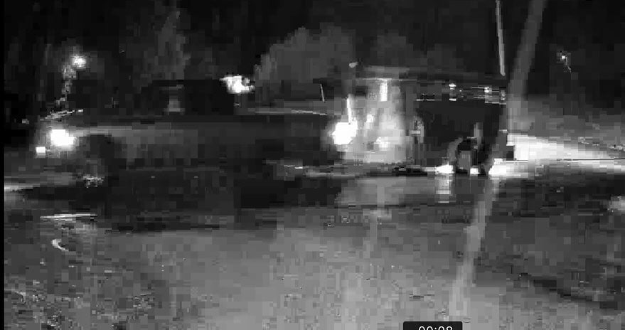 Stolen Cow2