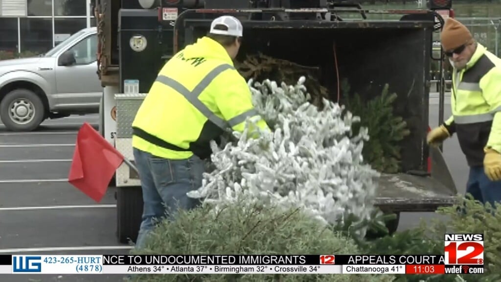 Dalton Christmas Tree Recycling On Dec. 30
