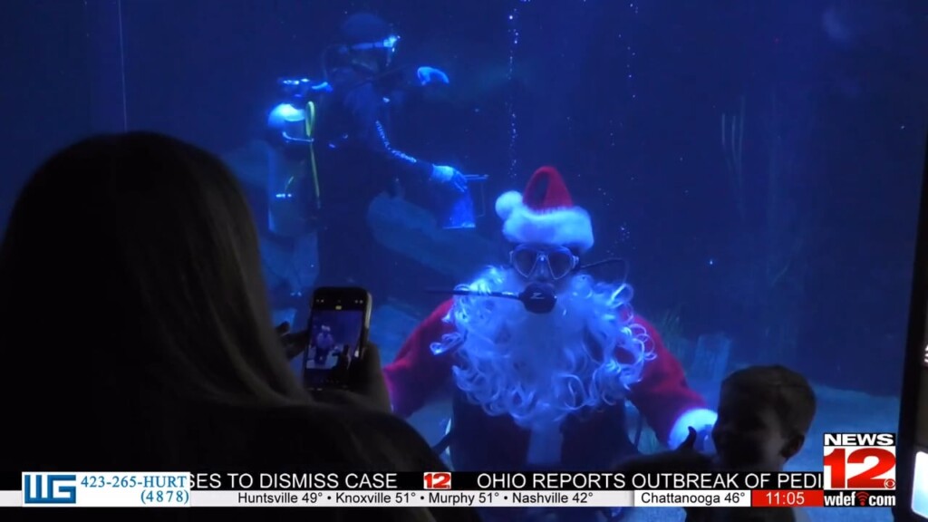 Aquarium Celebrates 'holidays Under The Peaks'