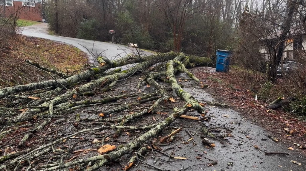 Red Bank storm damage