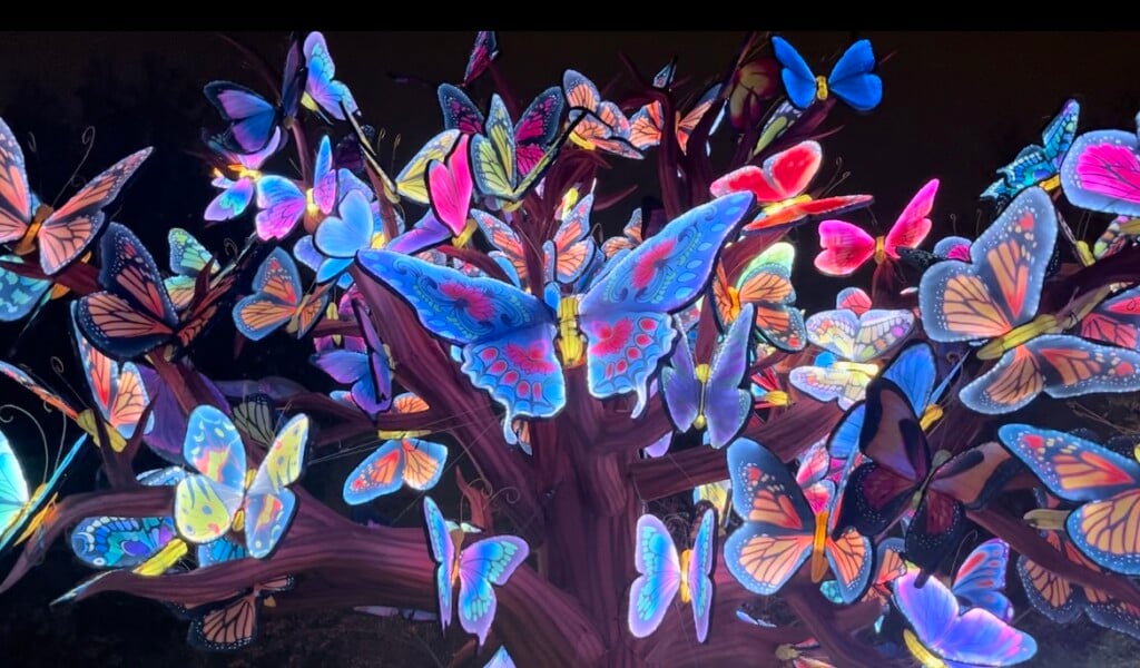 Asian Lantern Festival